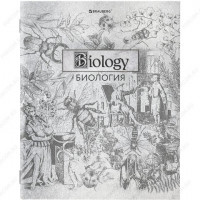 Тетрадь А5, 48 л, BRAUBERG SILVER Биология, серебрянная обложка, клетка, подсказ (BRAUBERG 404015)