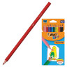 Набор цветных карандашей BIC Kids Tropicolors, пластиковые, 12 цветов (BIC 8325669/83256610)