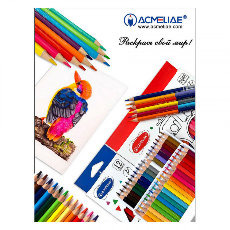 Набор цветных карандашей ACMELIAE, трехгранные, 6 цветов (ACMELIAE 9402-06)