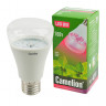 Лампа светодиодная Camelion BIO LED10-PL/BIO/E27 для растений 10Вт