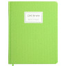 Дневник 1-11 класс 48 л., обложка кожзам твердая, нашивка, BRAUBERG BRILLIANT, зеленый, 105488