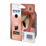 Epson C13T08714010 Картридж черный T0871 для Epson Stylus Photo R1900 (300 стр.) Установить до 02/2017