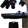 Микроскоп учебный LEVENHUK Rainbow 2L, 40-400 кратный, монокулярный, 3 объектива, 69035