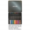 Набор цветных карандашей ACMELIAE Blackwood Artmate 24цв. в металлическом футляре (ACMELIAE 43568)