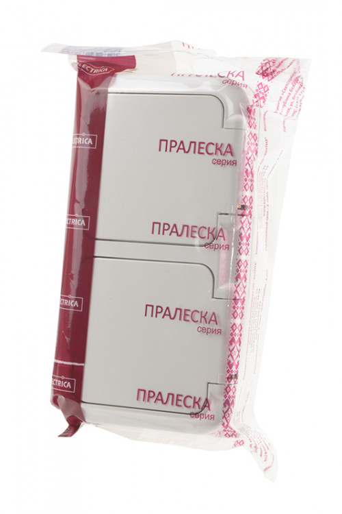 Розетка BYLECTRICA РА16-302 "Пралеска" 2гн б/з накладная с крышкой,пылебрызгозащ., белая BL1