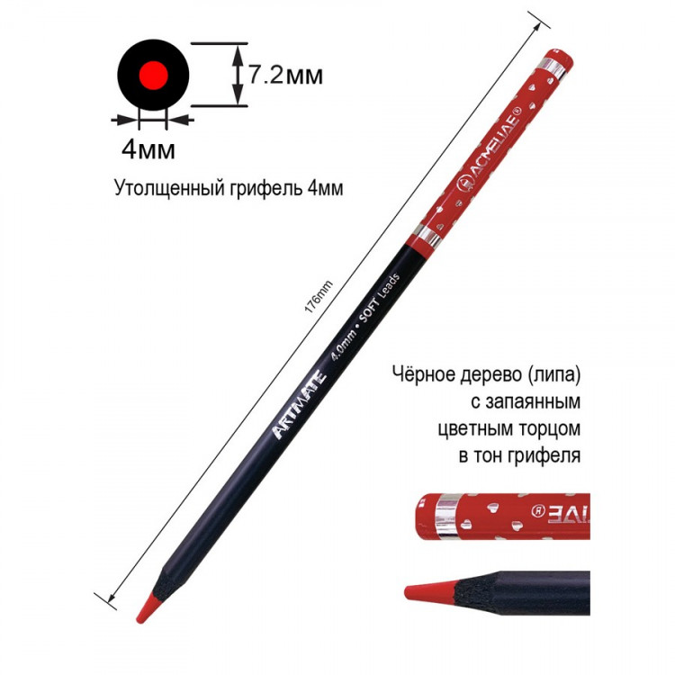Набор цветных карандашей ACMELIAE Blackwood Artmate 24цв. в картонном футляре, супермягкие, утолщенный грифель 4мм (ACMELIAE 43587)