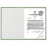 Папка адресная бумвинил с виньеткой, формат А4, зеленая, индивидуальная упаковка, STAFF 