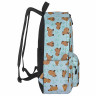 Рюкзак HEIKKI POSITIVE (ХЕЙКИ) универсальный, карман-антивор, Capybara, 42х28х14 см, 272548