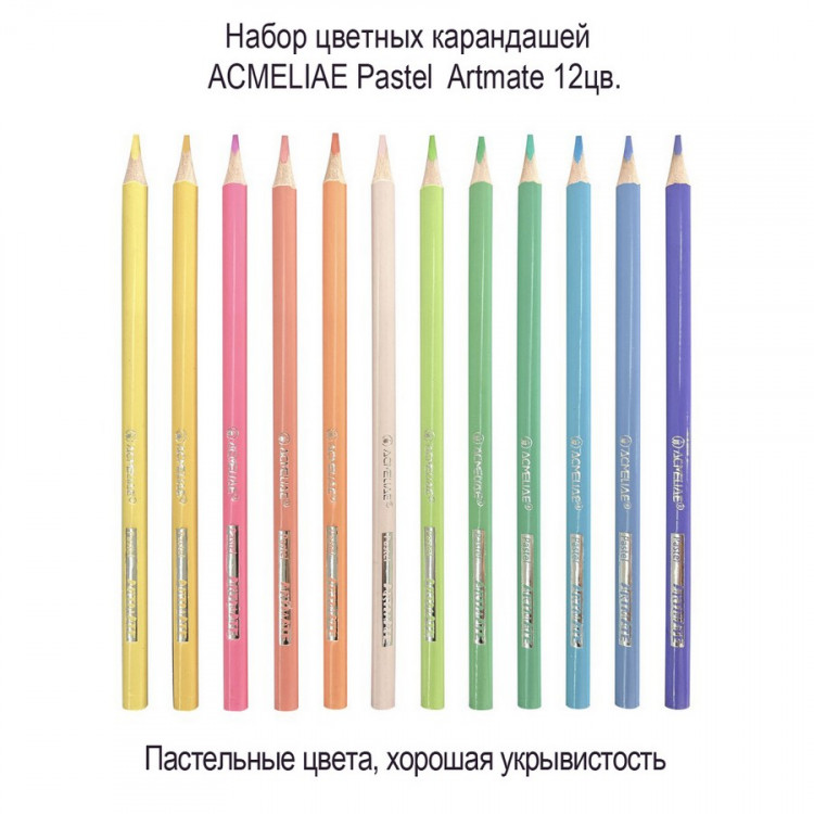 Набор цветных карандашей ACMELIAE Pastel Artmate, пастельные, 12 цветов, в картонном футляре  (ACMELIAE 43742)