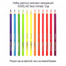 Набор цветных неоновых карандашей ACMELIAE Neon Artmate 12цв. в картонном футляре  (ACMELIAE 43720)