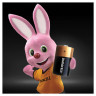 Батарейка DURACELL LR20 BL2* (Комплект 2 шт.)