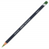 Карандаш цветной Derwent Procolour 51 Foliage Листва (Derwent 2302483)