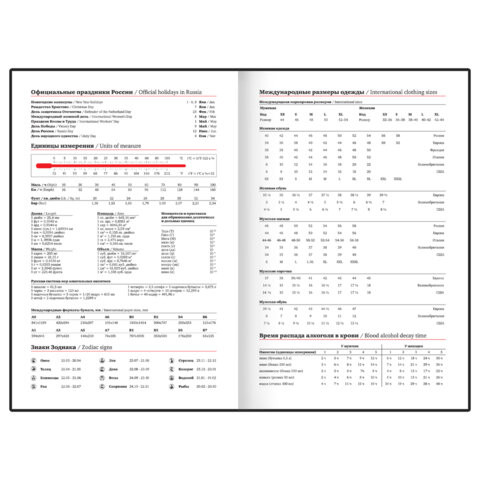 Ежедневник недатированный с резинкой А5 145х203 мм, BRAUBERG, твердый, 160 л., "Secret Emperor", 116304