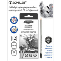 Набор чернографитных карандашей ACMELIAE ArtMate 12 твердостей (4H,3H,2H,H,B,2B,3B,4B,5B,6B,7B,8B) в картоне (ACMELIAE 43595)