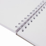 Скетчбук, белая бумага 100 г/м2, 105х148 мм, 60 л., гребень, жёсткая подложка, BRAUBERG ART DEBUT, 110997