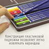 Карандаши художественные цветные акварельные, 120 цветов, 4 мм, металлический кейс, BRAUBERG ART PREMIERE, 181926 Карандаши художественные цветные акварельные, 120 цветов, 4 мм, металлический кейс, BRAUBERG ART PREMIERE, 181926
