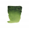 Краска акварельная Rembrandt туба 10 мл. №623 Зеленый травяной (Royal Talens 05016230)