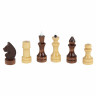Шахматы обиходные, деревянные, лакированные, глянцевые, доска 29х29 см, ЗОЛОТАЯ СКАЗКА, 665362