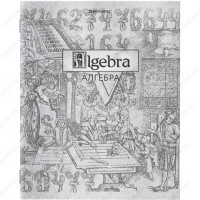 Тетрадь А5, 48 л, BRAUBERG SILVER Алгебра, серебрянная обложка, клетка, подсказ (BRAUBERG 404012)