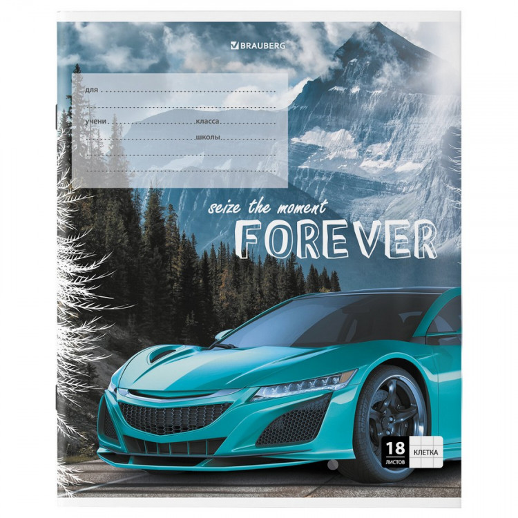 Тетрадь А5, 18 л, BRAUBERG SPORTS CAR, клетка, обложка картон, ассорти, 1шт (BRAUBERG 106479)
