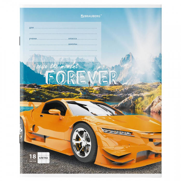 Тетрадь А5, 18 л, BRAUBERG SPORTS CAR, клетка, обложка картон, ассорти, 1шт (BRAUBERG 106479)
