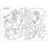 Книжка-раскраска ДЛЯ ФАНАТОВ, АССОРТИ, 242х300х6 мм, 80 стр., ПП