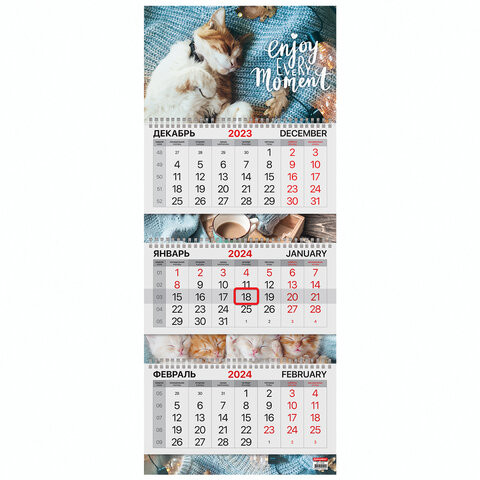 Календарь квартальный на 2024 г., 3 блока, 3 гребня, с бегунком, мелованная бумага, EXTRA, BRAUBERG, "Sleepy cat", 115303