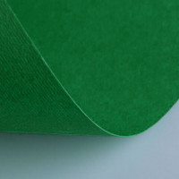 Бумага (картон) для творчества, 1 лист, FABRIANO "Elle Erre", А2+, 500х700 мм, 220 г/м2, темно-зеленый, 42450728