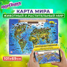 Карта мира 