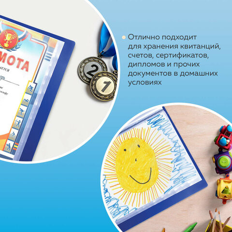 Папка с 40 файлами BRAUBERG стандарт, синяя, 0,7 мм (BRAUBERG 221603)