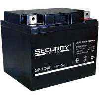 Energon Delta SF 1240 Аккумуляторная батарея Security Force (DELTA) SF 1240 (12В / 40Ач, Тип: AGM, Клемма: Болт М6, ДхШхВ: 197х165х170мм (Полная высота: 175мм), срок службы: 3-5 лет, Гарантия: 1г, вес: 13,8кг)