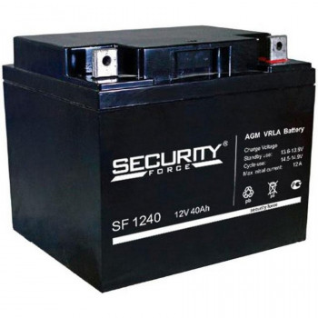 Energon Delta SF 1240 Аккумуляторная батарея Security Force (DELTA) SF 1240 (12В / 40Ач, Тип: AGM, Клемма: Болт М6, ДхШхВ: 197х165х170мм (Полная высота: 175мм), срок службы: 3-5 лет, Гарантия: 1г, вес: 13,8кг) 