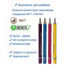 Карандаш чернографитный 2B ACMELIAE First Pencil утолщенный укороченный, 4 цвета корпуса, 12 шт в наборе (ACMELIAE 43755)