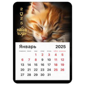 Календарь отрывной на магните на 2025 г., BRAUBERG, 130х180 мм, склейка, &quot;Котик&quot;, 116281 