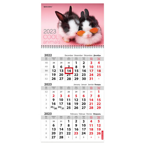 Календарь квартальный на 2023 г., 3 блока, 1 гребень, с бегунком, офсет, "COOL BUNNIES", BRAUBERG, 114239