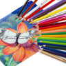 Карандаши цветные акварельные BRAUBERG PREMIUM AQUARELLE, 36 цветов, грифель 4 мм, 181674