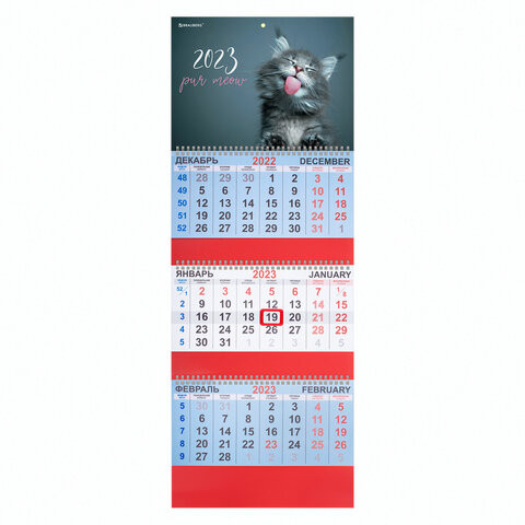Календарь квартальный на 2023 г., 3 блока, 3 гребня, с бегунком, офсет, "MEOW", BRAUBERG, 114224