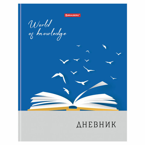 Дневник 5-11 класс, 48 л., твердый, BRAUBERG, глянцевая ламинация, с подсказом, "Сила в знании", 105585