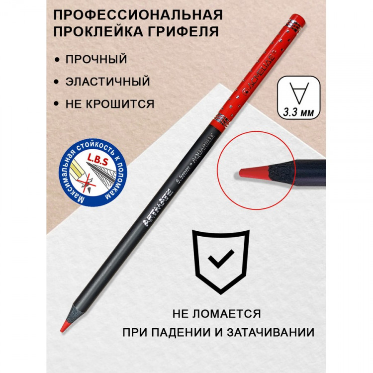 Набор цветных акварельных карандашей ACMELIAE Blackwood Artmate 12 цветов + кисточка, в металлическом футляре (ACMELIAE ART-AQ12)