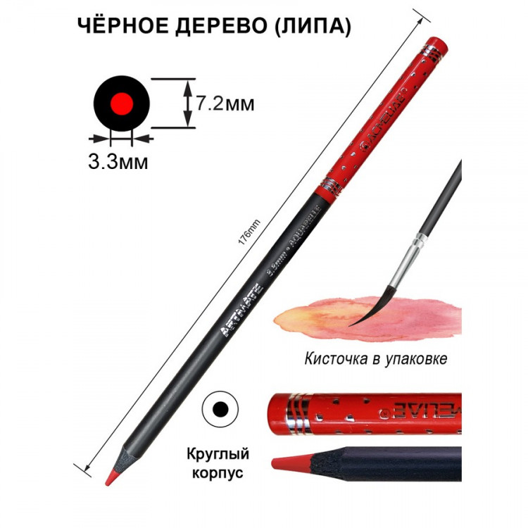 Набор цветных акварельных карандашей ACMELIAE Blackwood Artmate 12 цветов + кисточка, в металлическом футляре (ACMELIAE ART-AQ12)