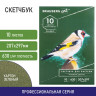 Альбом для пастели, картон ЗЕЛЕНЫЙ тонированный 630 г/м2, 207x297 мм, 10 л., BRAUBERG ART CLASSIC, 105920