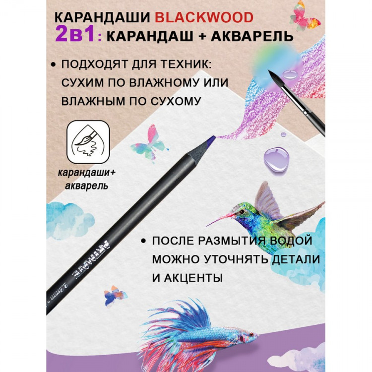 Набор цветных акварельных карандашей ACMELIAE Blackwood Artmate 24 цвета + кисточка, в металлическом футляре (ACMELIAE ART-AQ24)
