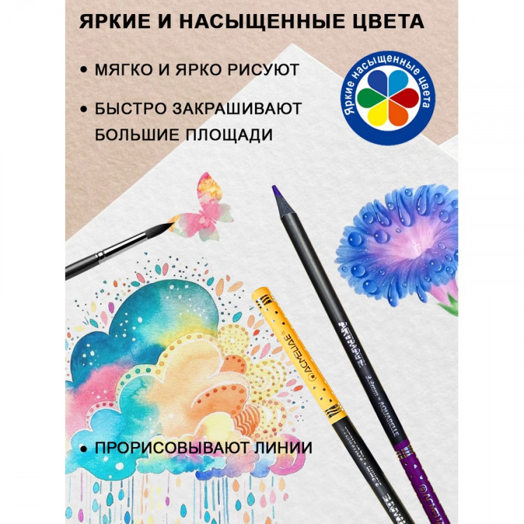 Набор цветных акварельных карандашей ACMELIAE Blackwood Artmate 24 цвета + кисточка, в металлическом футляре (ACMELIAE ART-AQ24)
