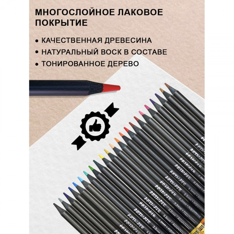 Набор цветных акварельных карандашей ACMELIAE Blackwood Artmate 24 цвета + кисточка, в металлическом футляре (ACMELIAE ART-AQ24)