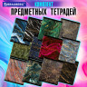 Тетради предметные, КОМПЛЕКТ 12 ПРЕДМЕТОВ, 48 л., SoftTouch, фольга, BRAUBERG, 