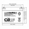 Аккумуляторная батарея CSB GP12260 (12В / 26Ач, Клемма: Болт М5, ДхШхВ: 166x175x125, срок службы: 5 лет, вес: 8,45кг) (CSB GP12260)